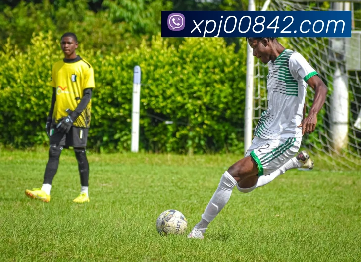 澳门新葡京网站入口品牌故事