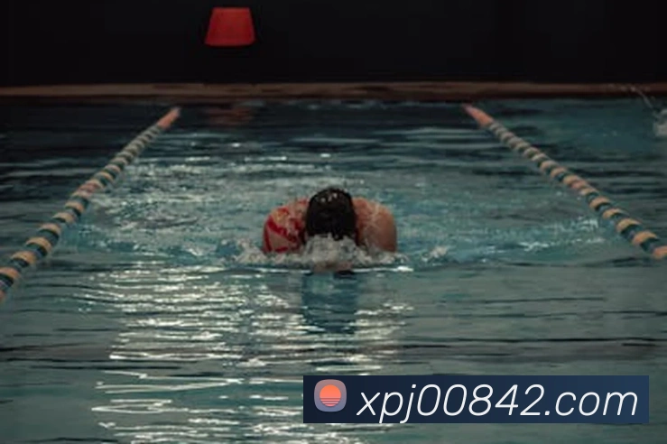 澳门新葡京网站入口服务体系